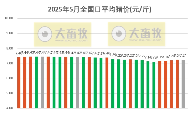 今日猪价 | 2025.05.29 猪价行情