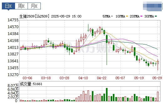 今日猪价 | 2025.05.30 猪价行情