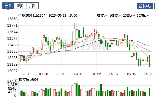 今日猪价 | 2025.05.30 猪价行情