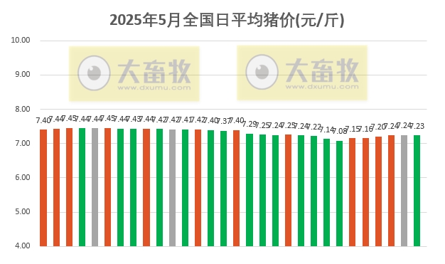 今日猪价 | 2025.05.30 猪价行情