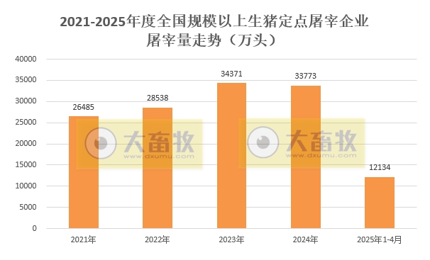 2025年4月及前4月全国规模以上生猪定点屠宰企业的屠宰量情况——前4月同比增加1200万头