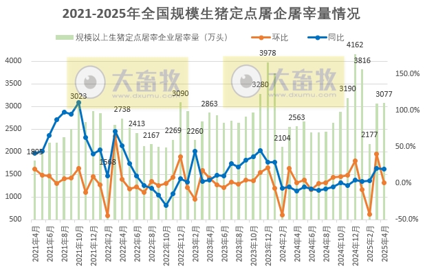 2025年4月及前4月全国规模以上生猪定点屠宰企业的屠宰量情况——前4月同比增加1200万头