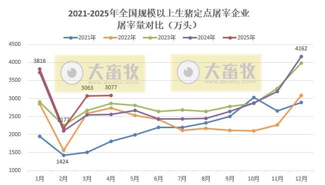 2025年4月及前4月全国规模以上生猪定点屠宰企业的屠宰量情况——前4月同比增加1200万头