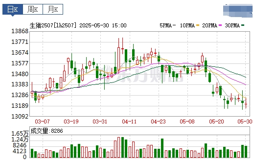 今日猪价 | 2025.05.31 猪价行情——大多数出现下跌