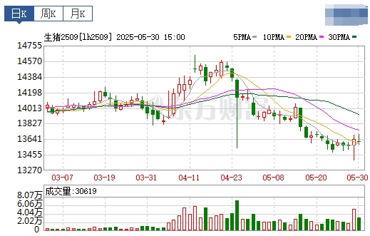 今日猪价 | 2025.05.31 猪价行情——大多数出现下跌