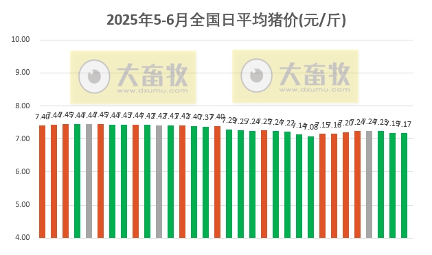 今日猪价 | 2025.06.01 猪价行情