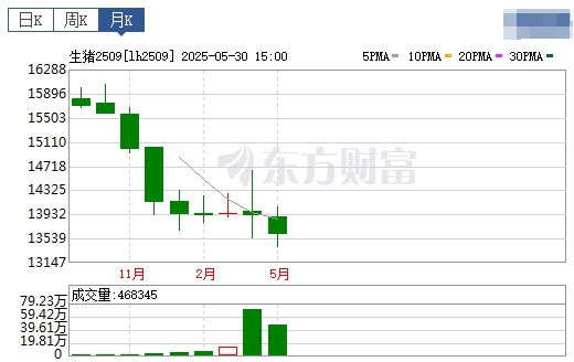 今日猪价 | 2025.06.01 猪价行情