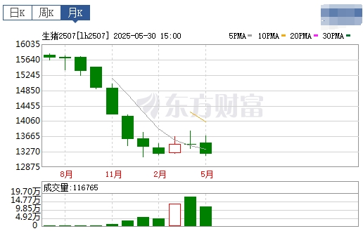 今日猪价 | 2025.06.01 猪价行情