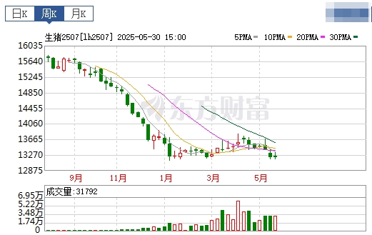 今日猪价 | 2025.06.01 猪价行情