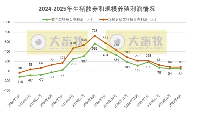 2025年4月全国散养和规模养殖生猪成本收益情况