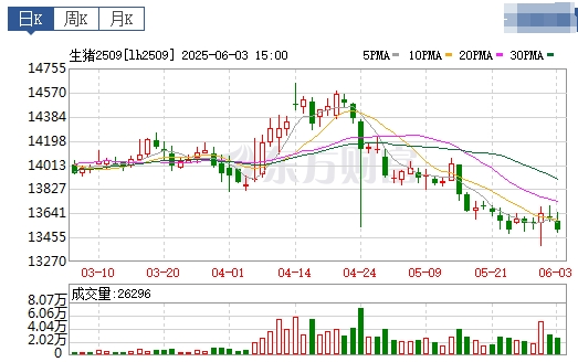 今日猪价 | 2025.06.04 猪价行情——多数省份出现下跌