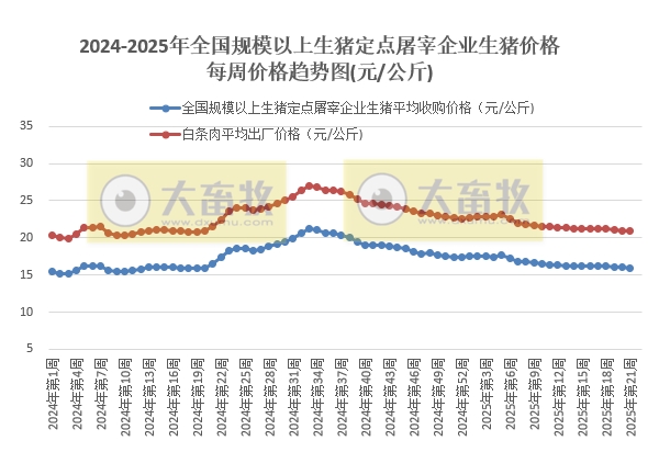 农业农村部：生猪收购价和白条肉出厂价连续4周下跌，跌至近1年多最低，同比由涨转跌——5月第4周生猪定点屠宰企业生猪收购和白条肉出厂价格情况