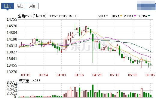 今日猪价 | 2025.06.06 猪价行情——14省跌破7元，且跌至近15个月最低价