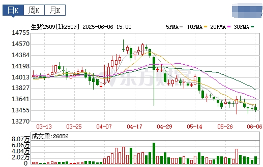 今日猪价 | 2025.06.07 猪价行情——有20省跌破7元大关