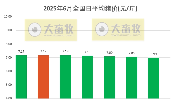 今日猪价 | 2025.06.07 猪价行情——有20省跌破7元大关
