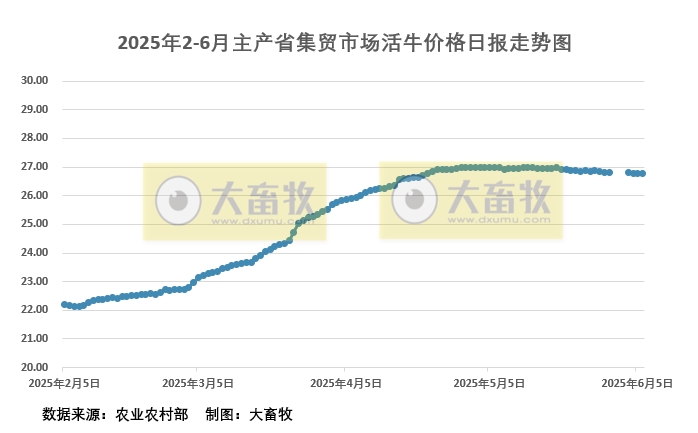 2025年6月6日活牛价格