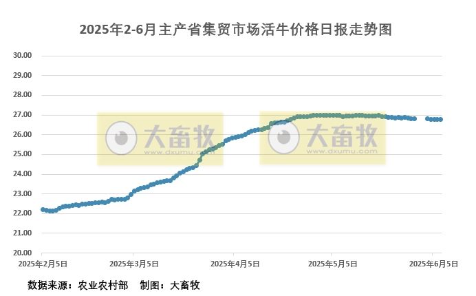 2025年6月7日活牛价格