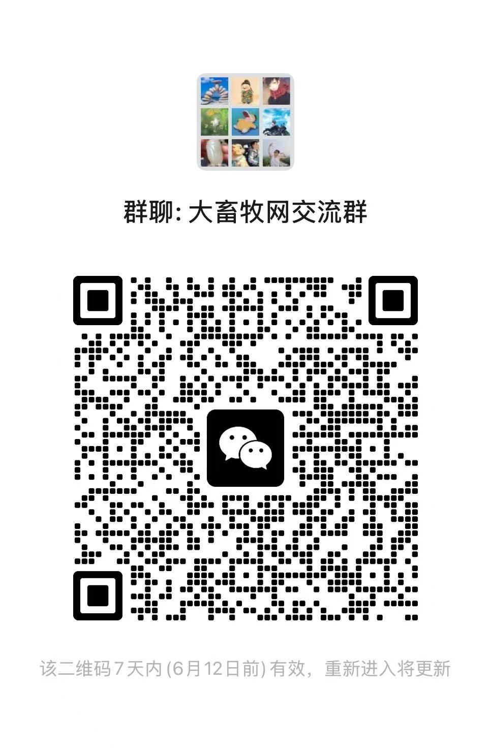今日猪价 | 2025.06.09 猪价行情——下跌省份大幅减少,稳中带跌