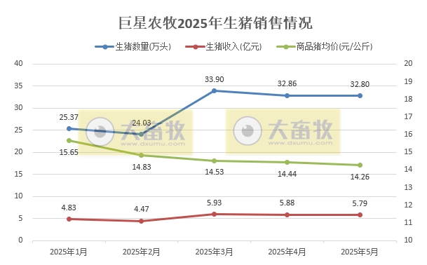 巨星、神农、京基和立华2025年5月及前5月生猪销售情况——5月销量增减有之，但前5月累计均增长