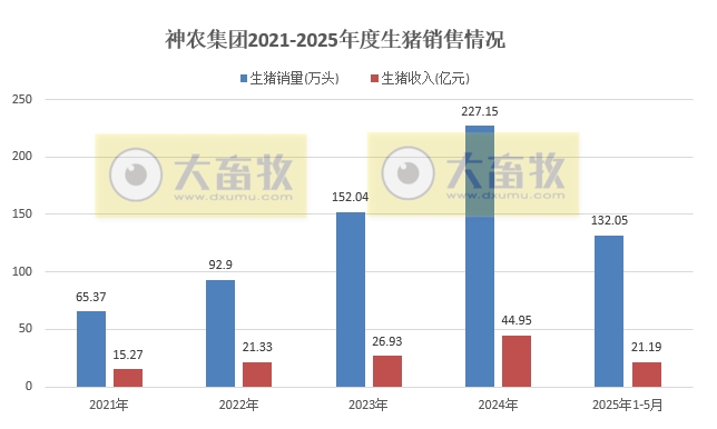 巨星、神农、京基和立华2025年5月及前5月生猪销售情况——5月销量增减有之，但前5月累计均增长