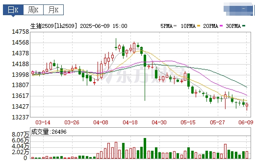 今日猪价 | 2025.06.10 猪价行情——止跌上涨