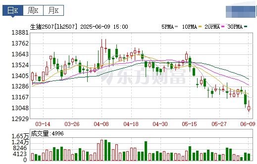 今日猪价 | 2025.06.10 猪价行情——止跌上涨