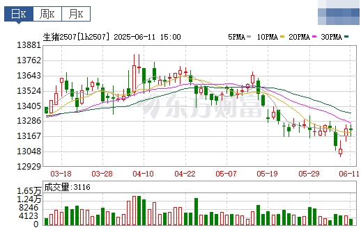 今日猪价 | 2025.06.12 猪价行情——稳中带涨