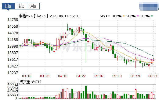 今日猪价 | 2025.06.12 猪价行情——稳中带涨