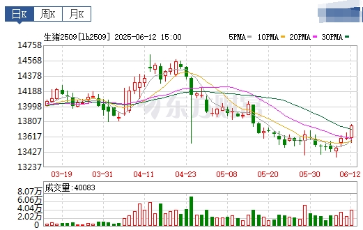 今日猪价 | 2025.06.13 猪价行情——稳中转跌