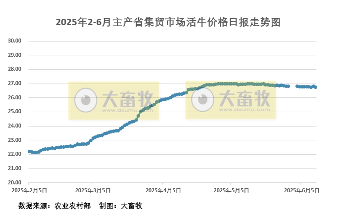 2025年6月11日活牛价格