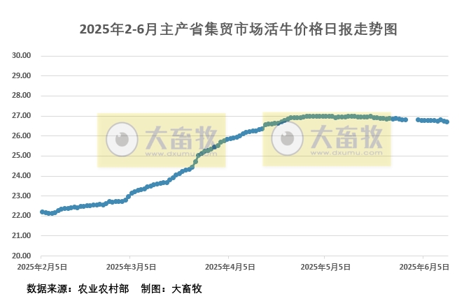 2025年6月12日活牛价格
