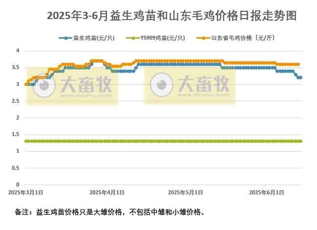 2025年6月14日益生鸡苗行情资讯