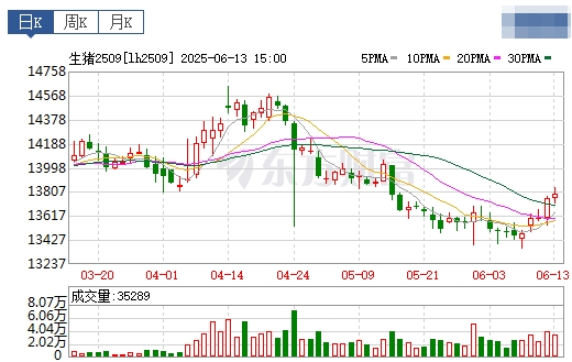 今日猪价 | 2025.06.14 猪价行情——大多数以稳为主