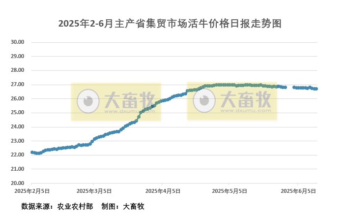 2025年6月13日活牛价格
