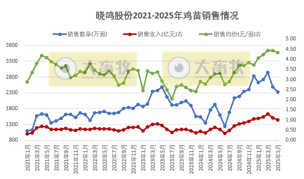 益生、民和和晓鸣2025年5月及前5月鸡苗销售情况