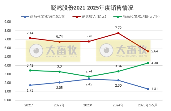 益生、民和和晓鸣2025年5月及前5月鸡苗销售情况