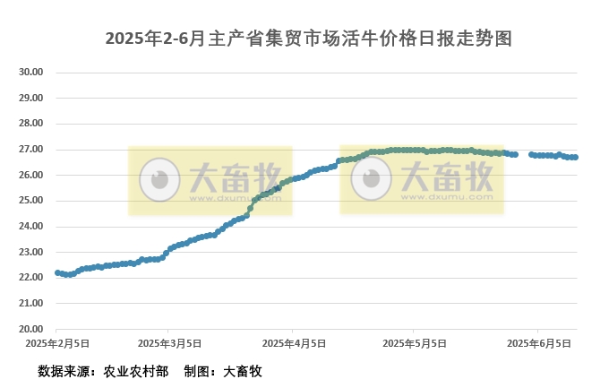 2025年6月14日活牛价格