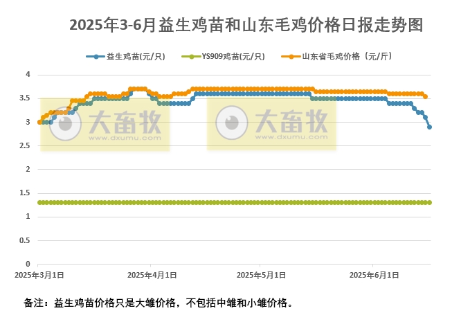 2025年6月16日益生鸡苗行情资讯