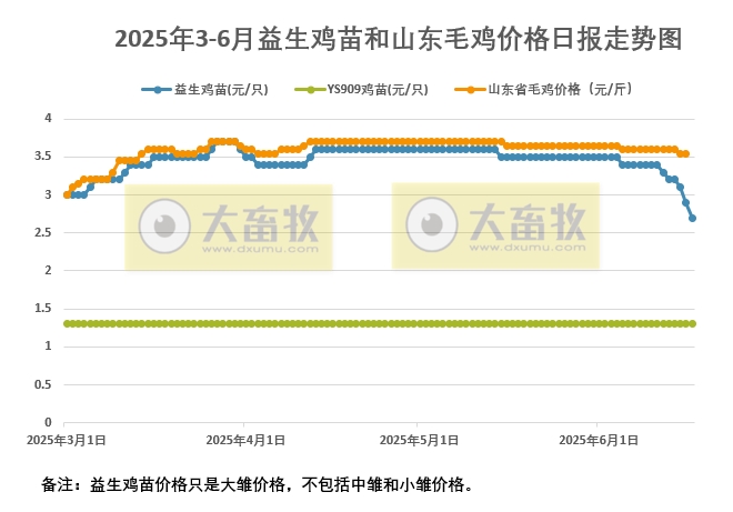 2025年6月17日益生鸡苗行情资讯