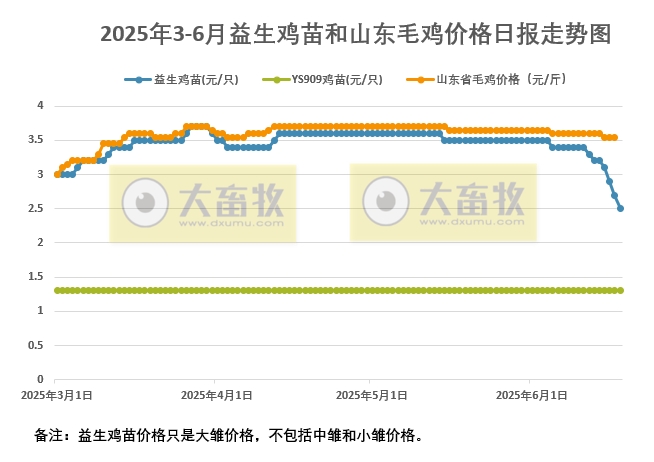 2025年6月18日益生鸡苗行情资讯