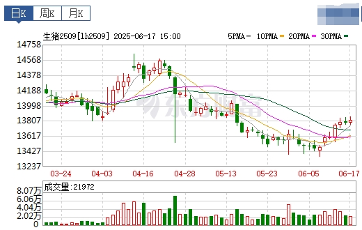 今日猪价 | 2025.06.18 猪价行情——稳中带涨，下调能繁母猪存栏量利好支撑猪价