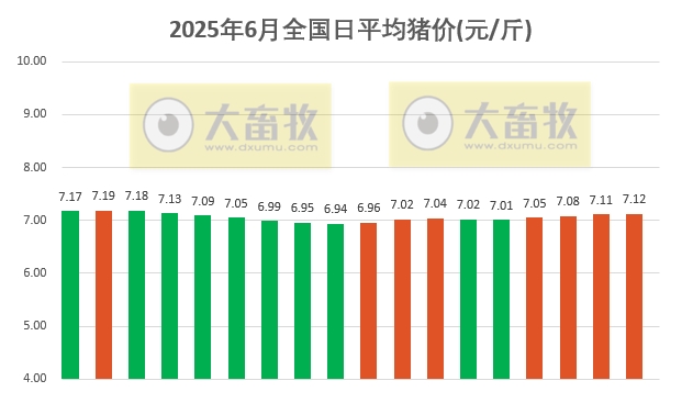 今日猪价 | 2025.06.18 猪价行情——稳中带涨，下调能繁母猪存栏量利好支撑猪价