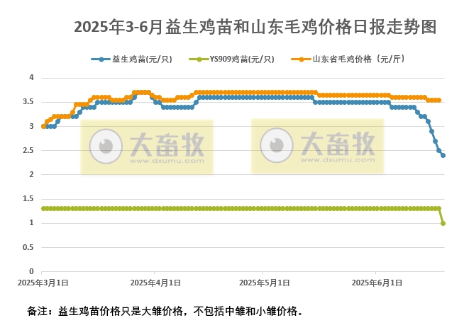 白羽肉鸡苗价格半月下跌近三成,多地出现“抽毛蛋”现象