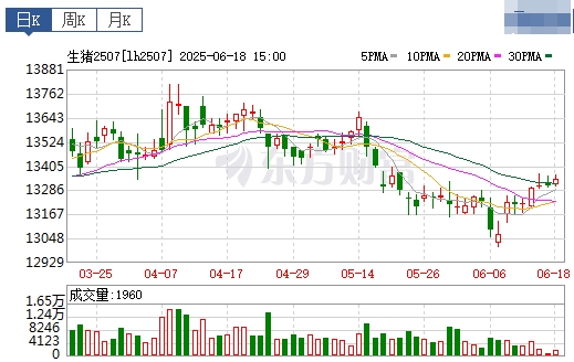 今日猪价 | 2025.06.19 猪价行情