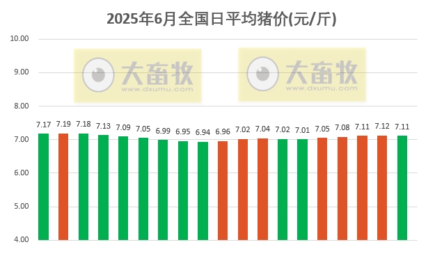 今日猪价 | 2025.06.19 猪价行情