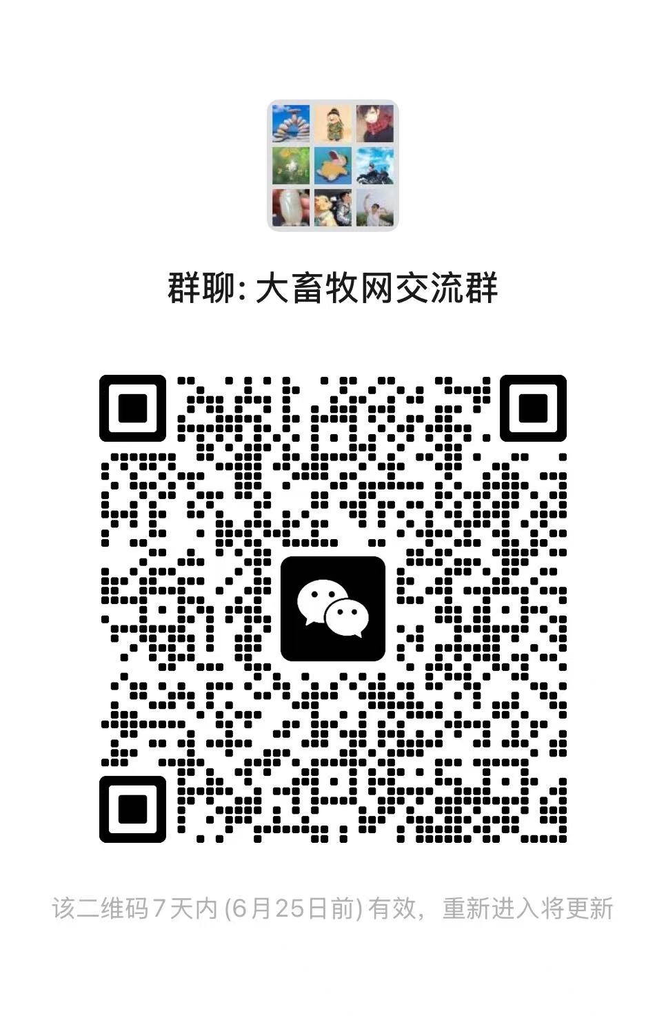 今日猪价 | 2025.06.22 猪价行情——又小幅上涨啦!