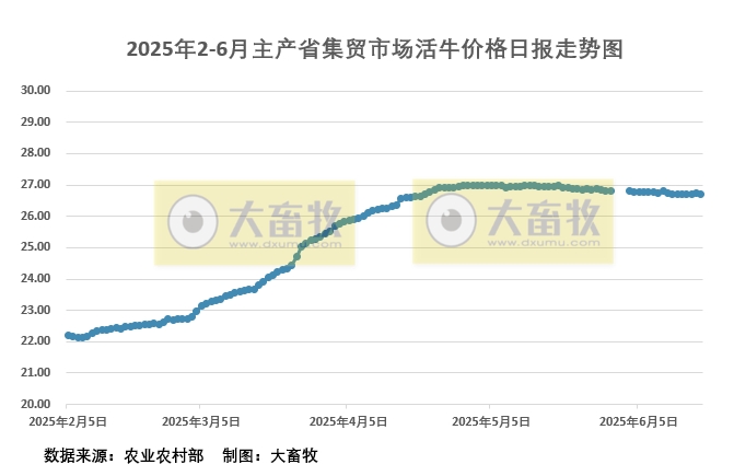 2025年6月18日活牛价格