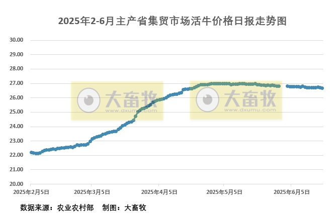 2025年6月19日活牛价格
