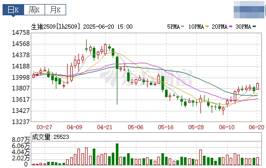 今日猪价 | 2025.06.21 猪价行情——稳中带涨