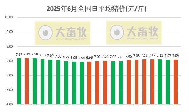 今日猪价 | 2025.06.21 猪价行情——稳中带涨